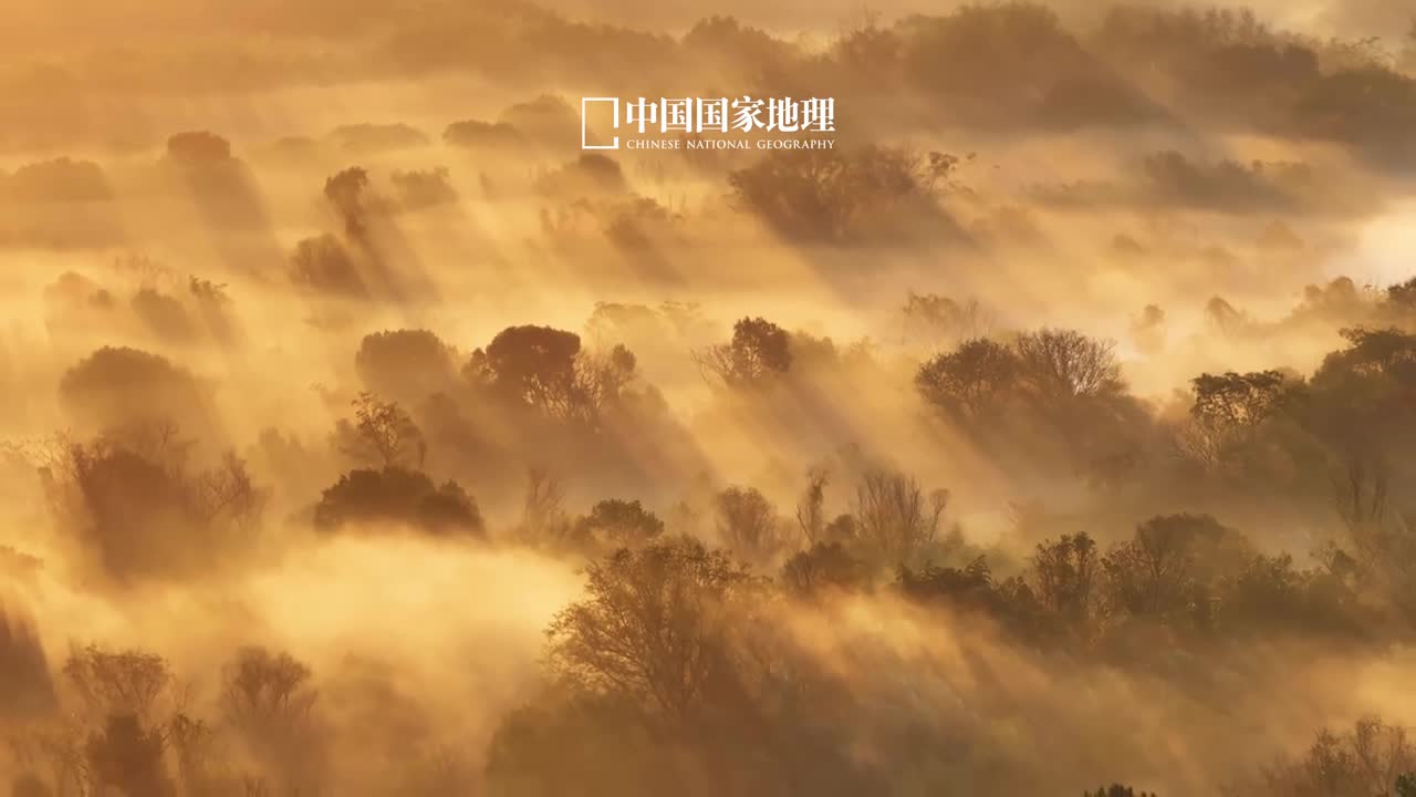 白露金风送爽玉露初降世间万物澄净而明朗此时冷空气转守为攻多数地区能明显感觉到渐浓的秋意时光染秋岁月绘景于人间酝酿万般诗情愿你在这个极富诗意的时节慢品秋日的静谧与安宁