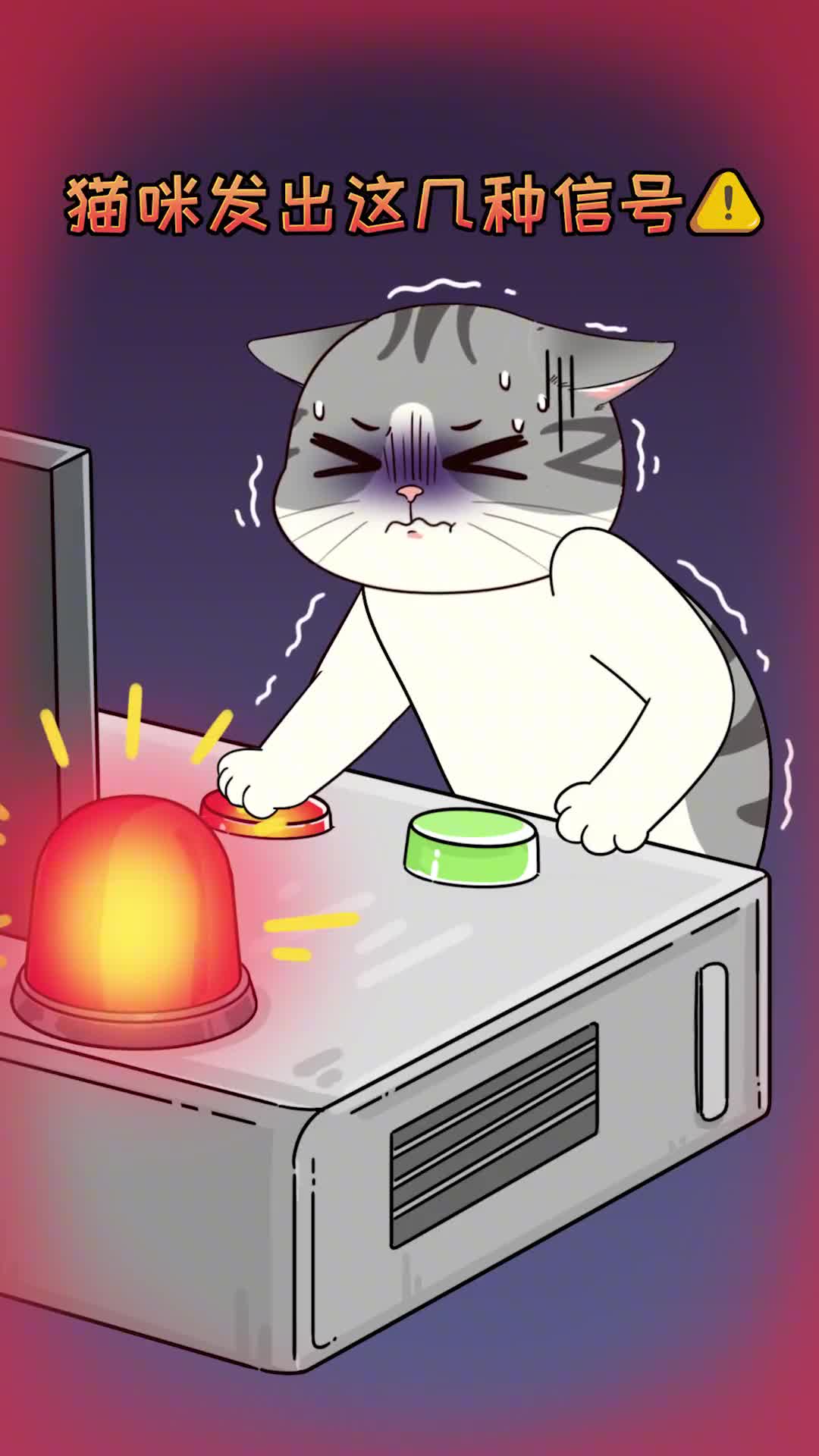 猫咪缺维生素的几种信号你知道几个建议日常额外补充点维生素哦