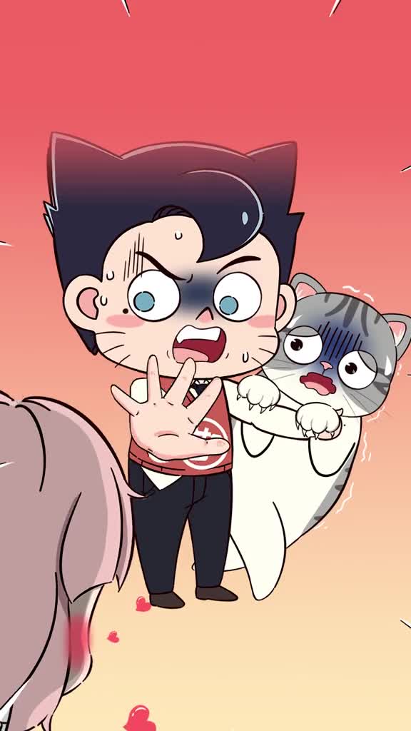 看似爱猫实则害猫的5种行为你中了几条