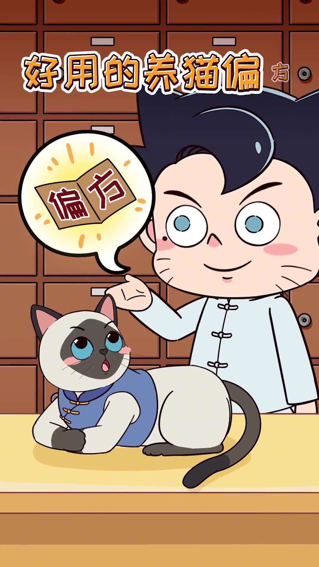 铲屎官总结的10个养猫偏方把猫治的服服帖帖的