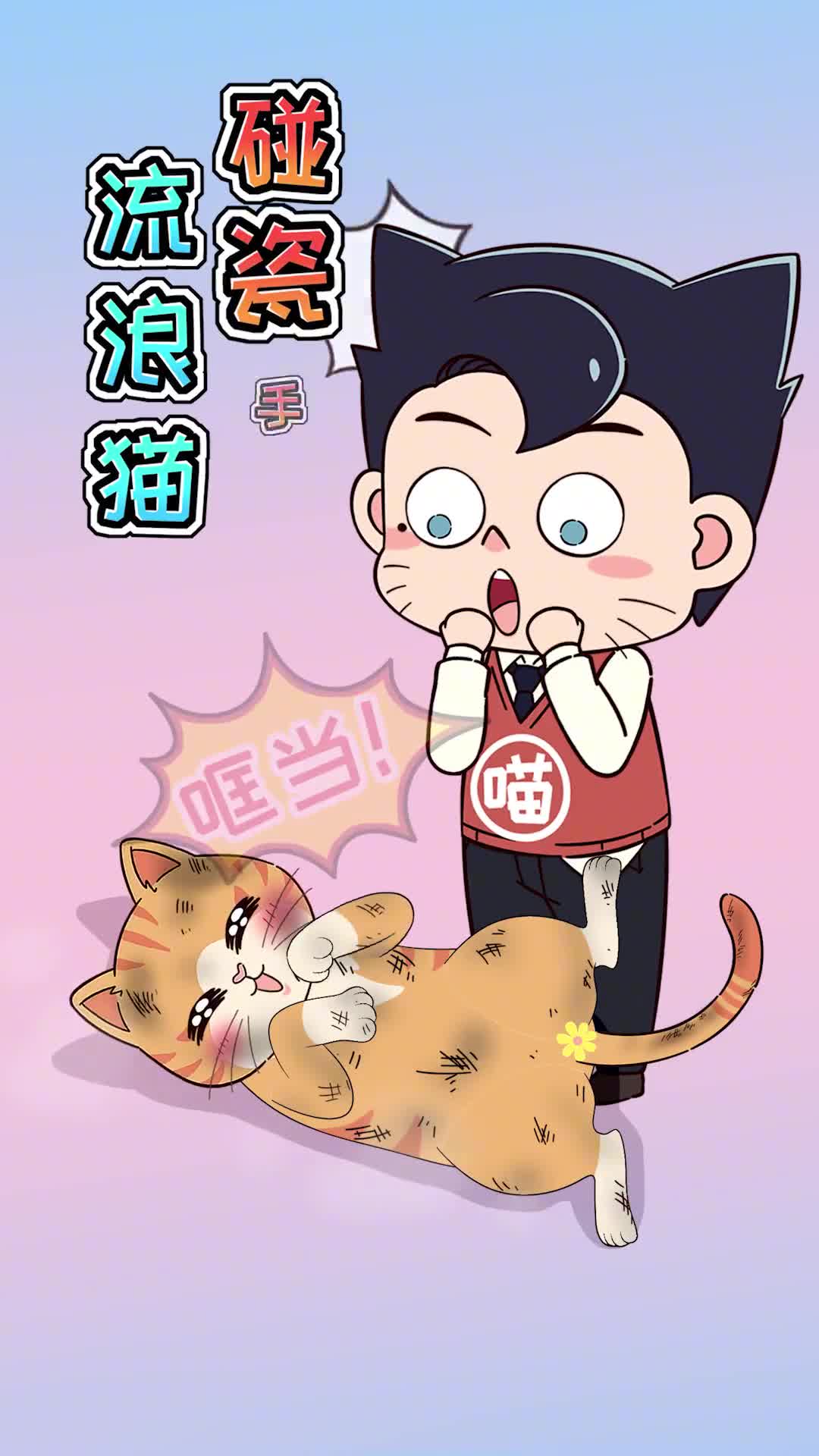 流浪猫的各种碰瓷手段简直让我佩服的五体投地