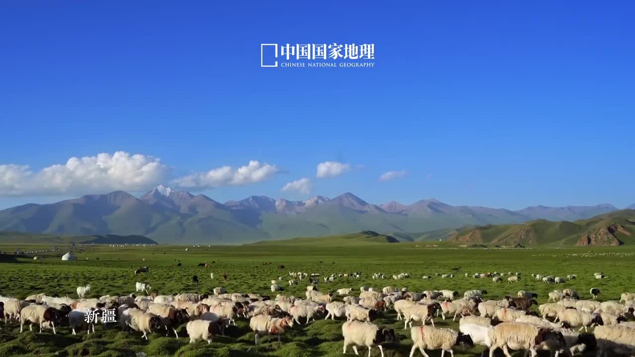 有一种生活叫旷野牧羊草原之上碧草繁茂顺着羊群行进的方向或许就能找到心目中的诗和远方人生是旷野而非轨道一起到没有天花板的地方牧羊牧心牧时光吧