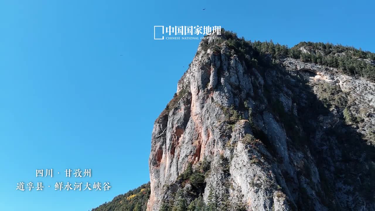 鲜水河大峡谷隐藏了多少惊喜发源自巴颜喀拉山山麓的鲜水河是雅砻江的最大支流鲜水河大峡谷河道呈现出曲折多弯的形态河流两岸重峦叠嶂金风送爽万叶斑斓于峡谷深处感受季节的更迭领悟自然的力量