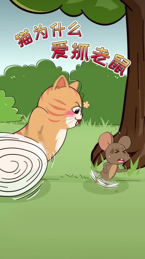 猫为什么爱抓老鼠原来是老鼠体内的这个物质对猫太重要了