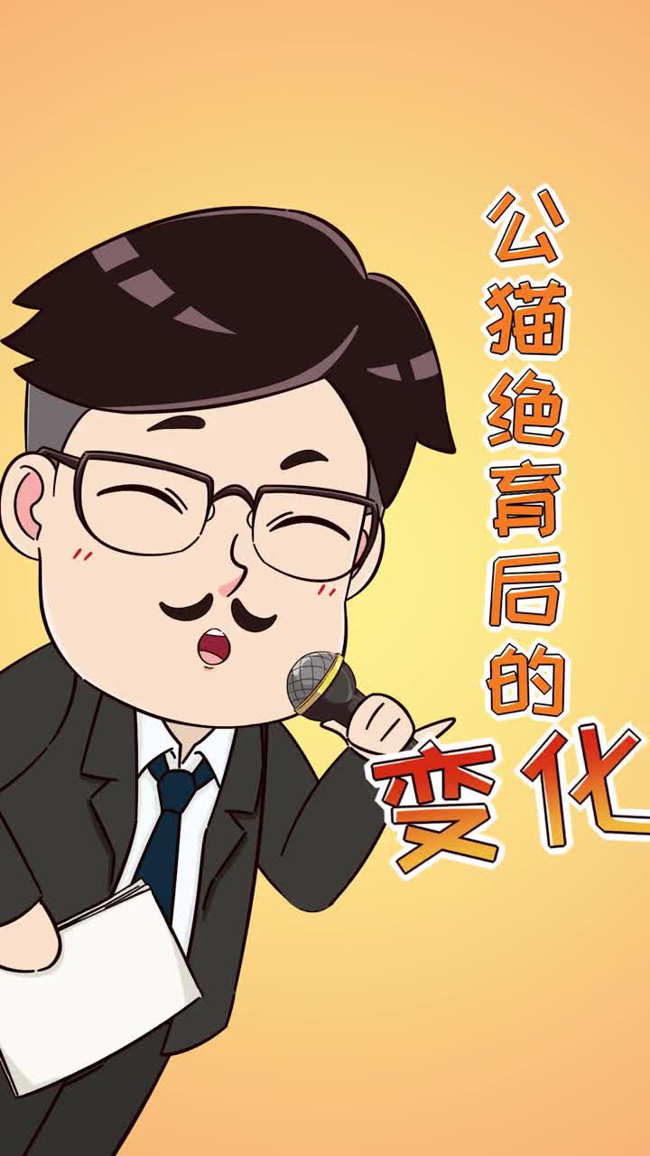 公猫绝育后有这几大变化你家猫也这样吗