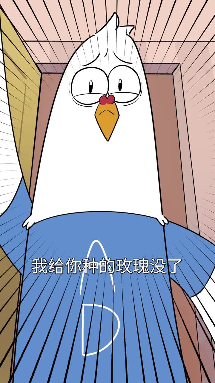 为啥中国人这么爱种菜