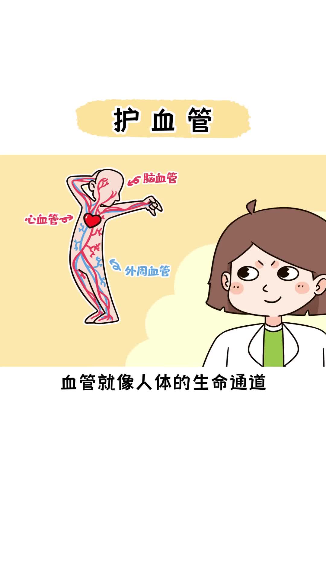 摄入哪些营养素可以有效保护血管