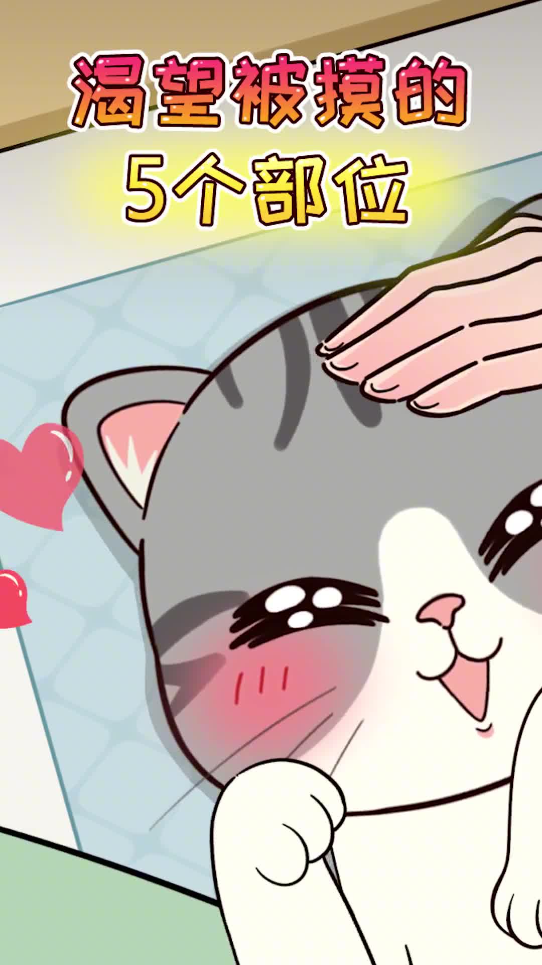 猫咪最渴望被摸的5个部位快去狠狠的撸猫吧
