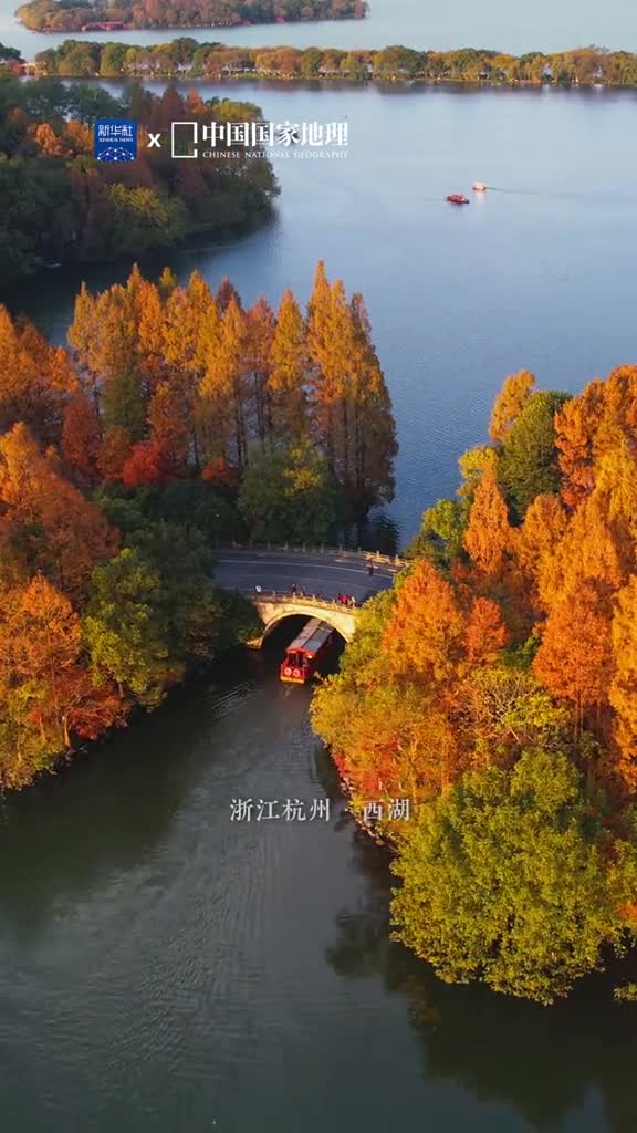 西湖的秋天一定会惊艳你湖光山色共争秋虽是橙黄橘绿的绚烂却不喧闹迷人眼而是流露出一丝安静平和的气韵像讲故事一样将烟云往事娓娓道来讲烟波画船讲平湖霁色讲秋叶心事是时间沉淀下的别样美感