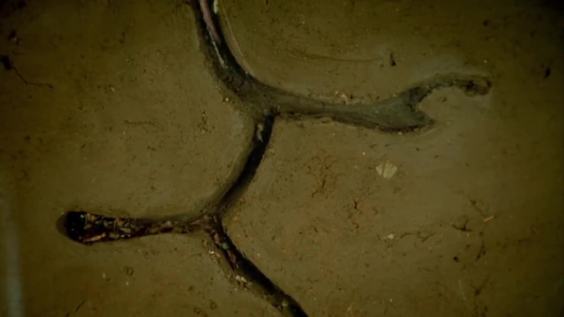 人生总是处处碰壁却碰不到人民币