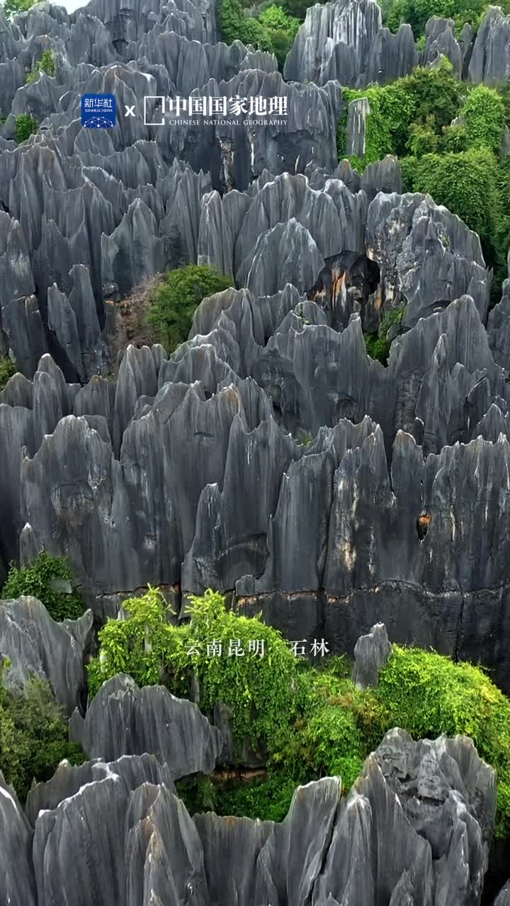 这片石林自带霸气这里是云南昆明的石林风景区潇洒果敢的剑状石林直刺天际万刃争锋令人赞叹