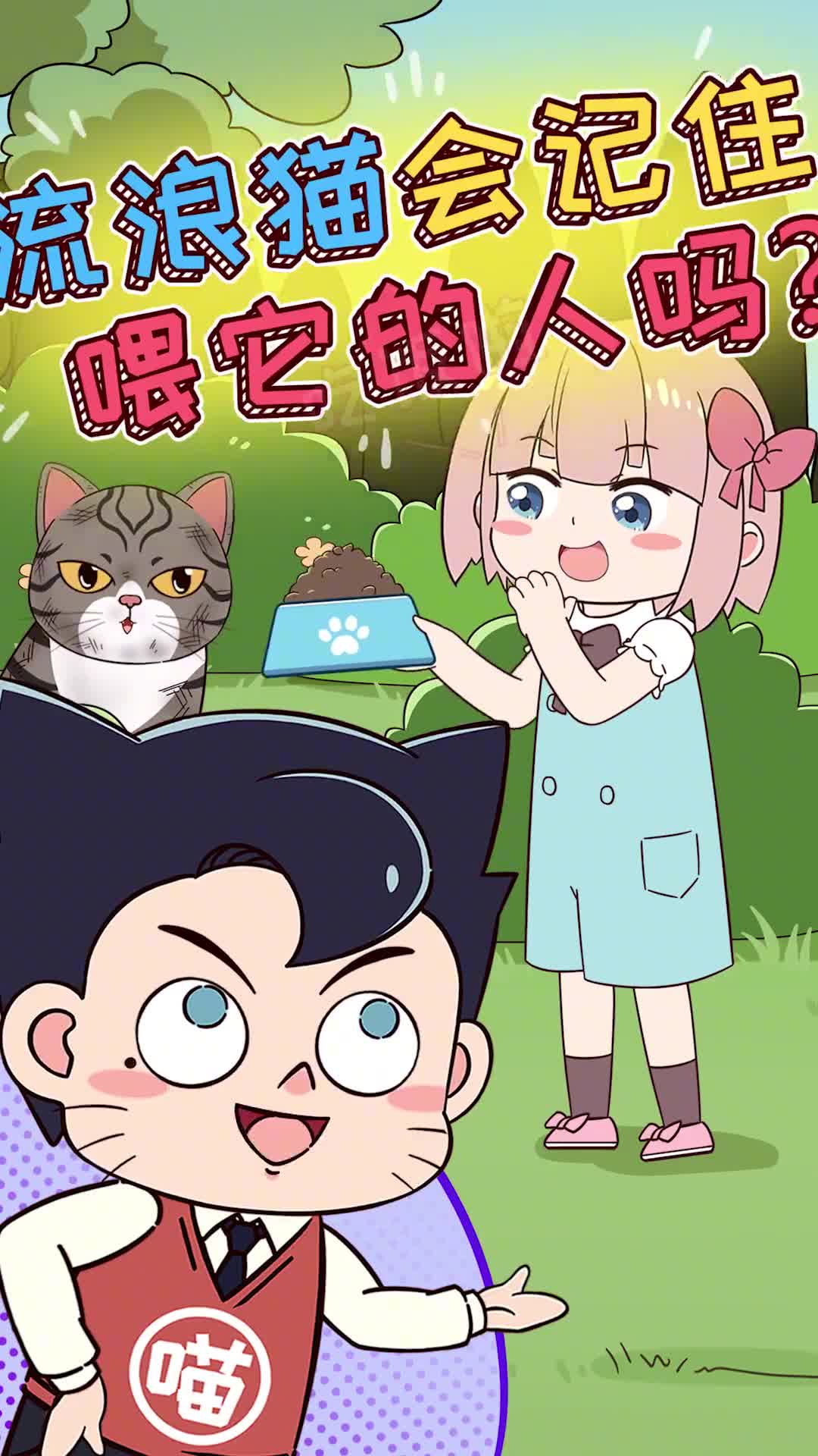 流浪猫会记住经常喂它的人吗