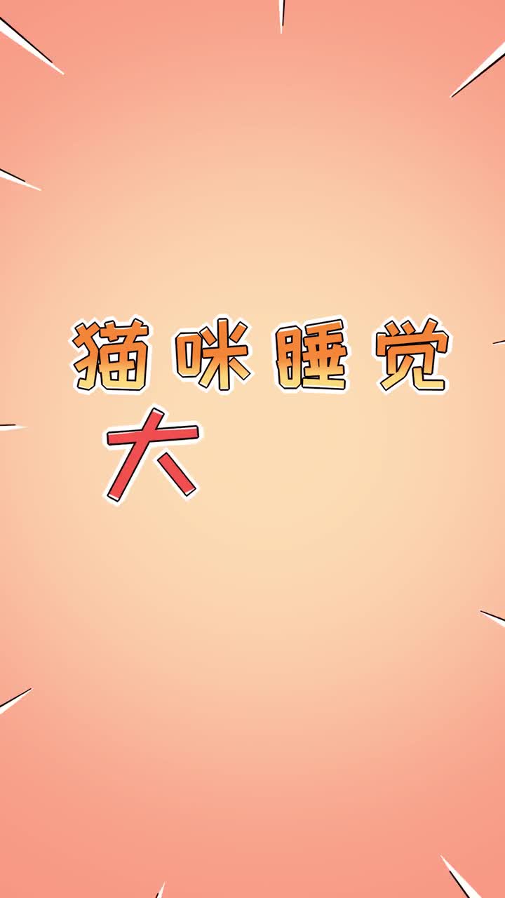 猫咪睡觉大揭秘你知道多少呢