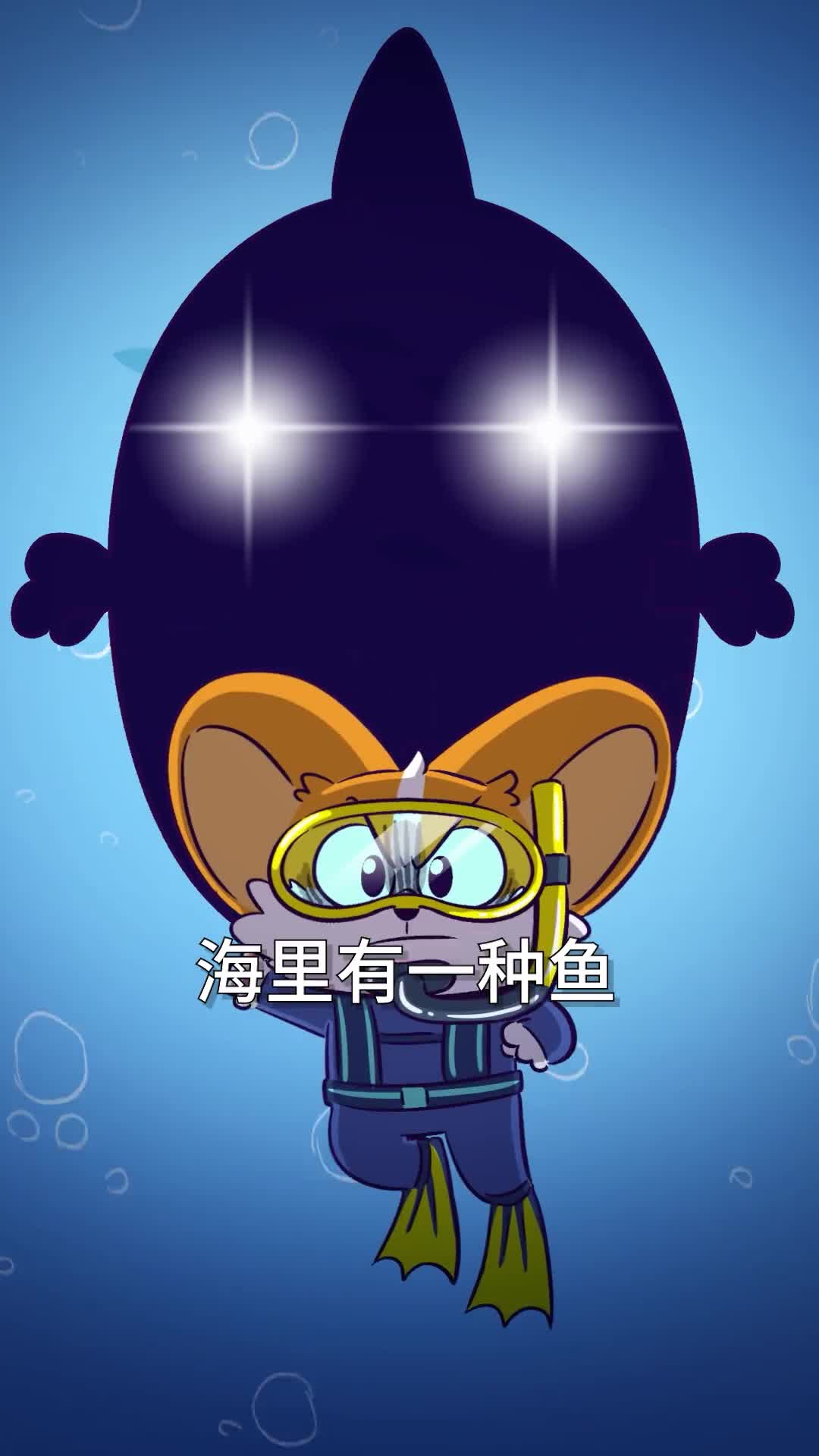 海里最傻的鱼有多好笑