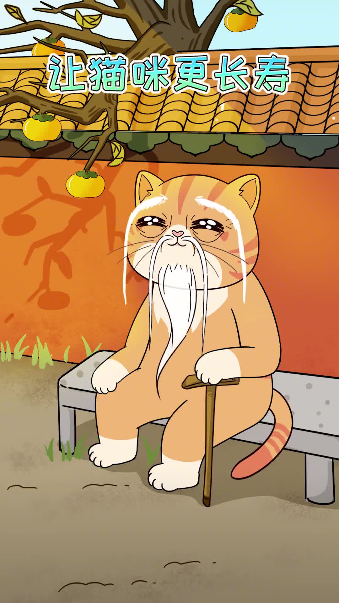 想要家养猫更长寿要注意这3个细节哦