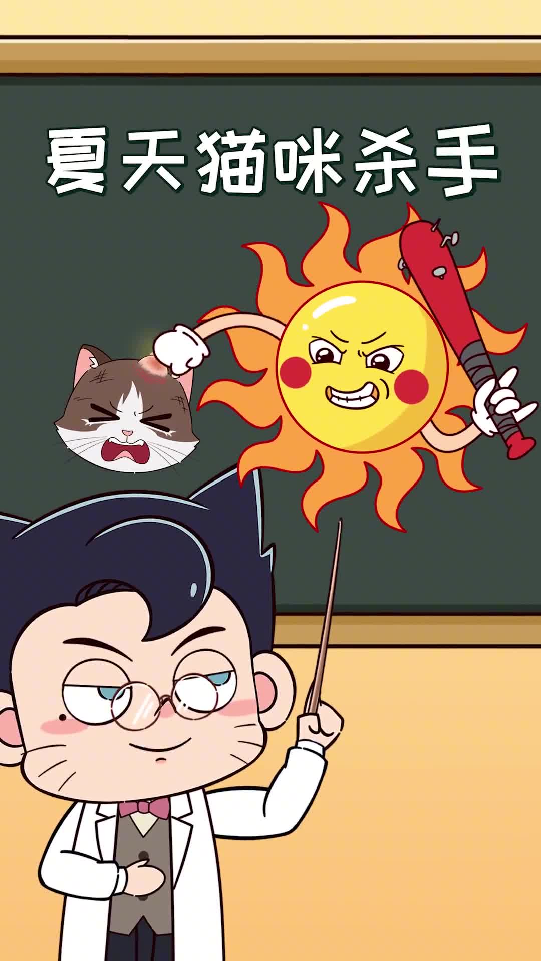 夏天对猫来说有多危险