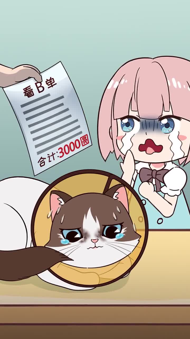 猫咪在家出问题怎么办点赞收藏帮你省一个月工资