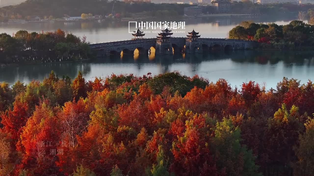 杭州湘湖的限定浪漫来啦