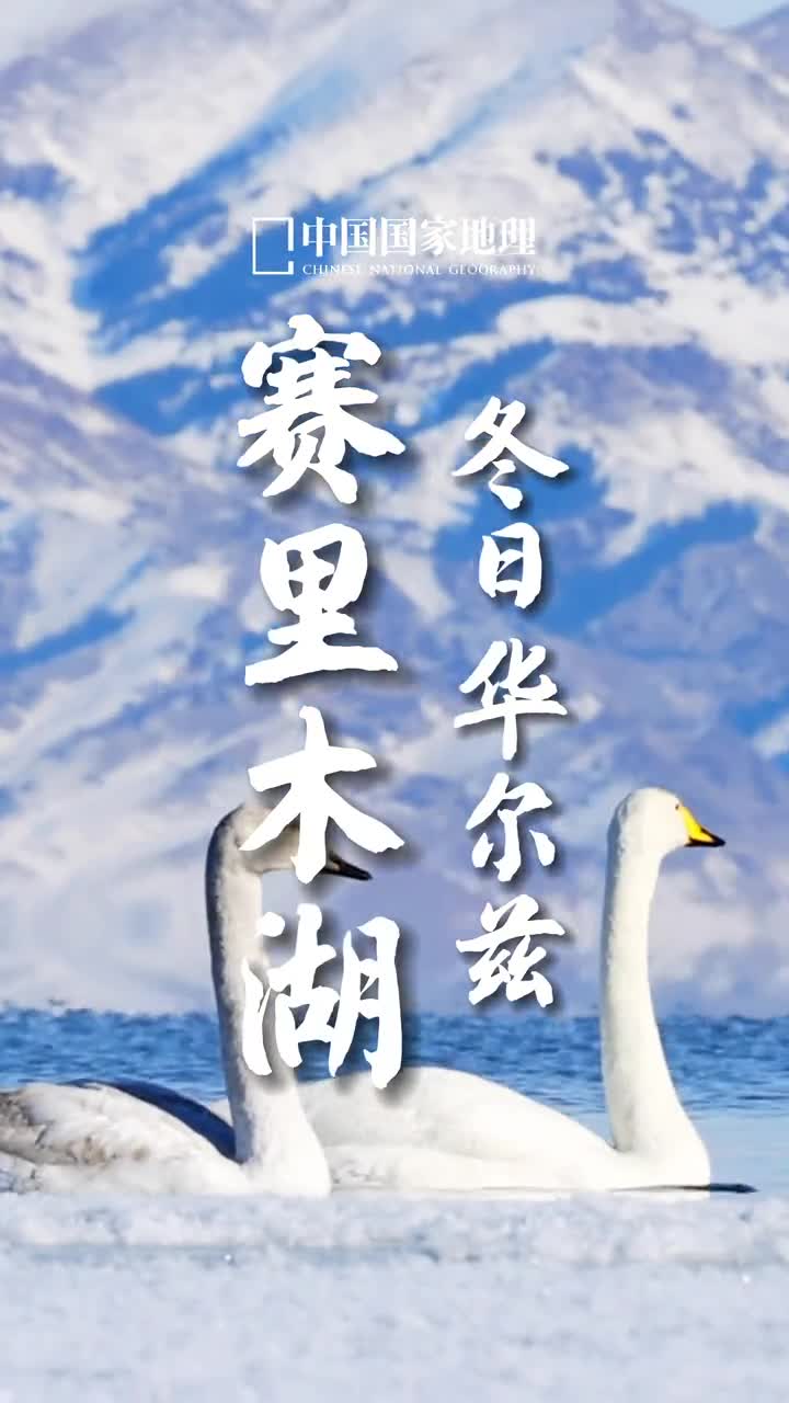 赛里木湖的冬日浪漫千里冰封天空之镜映照苍穹