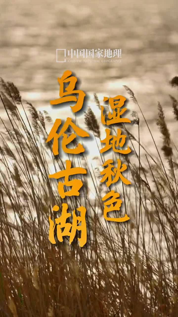 时光匆匆岁月无痕不经意间这一年又要过去了