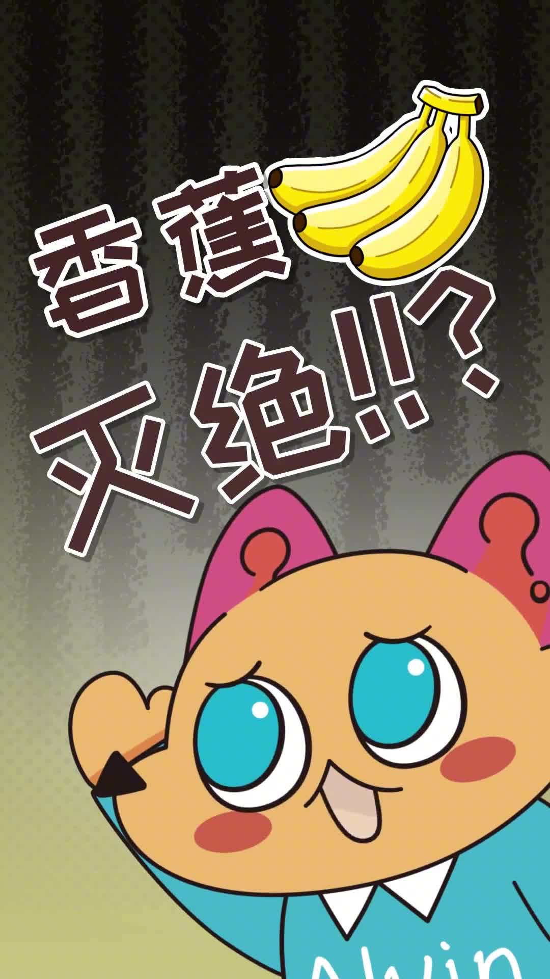 第68集啥香蕉早都灭绝过一次现在又双叒快要灭绝了