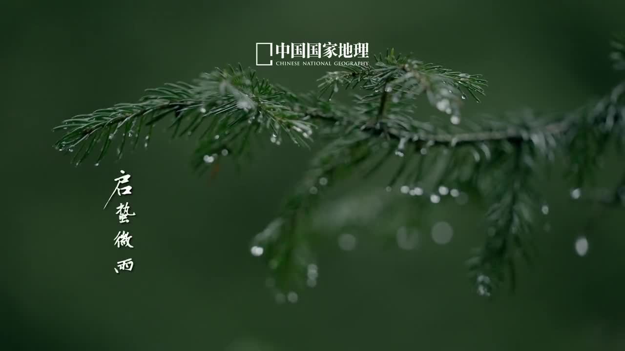 蛰久者飞必高蛰伏已久的你准备好一鸣惊人了吗