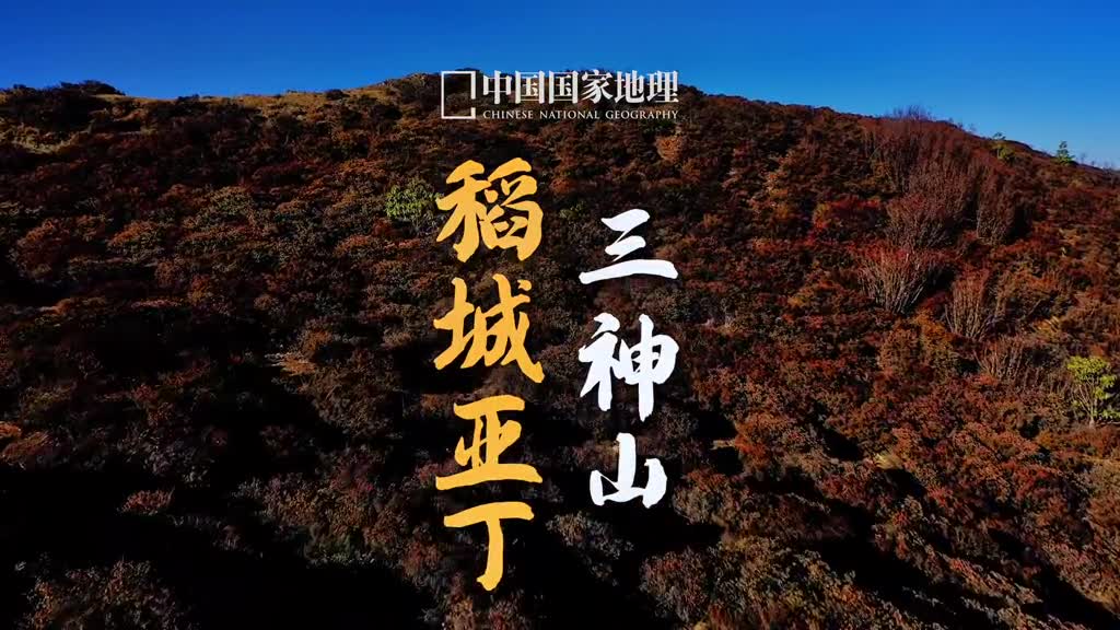 说吧你们都想看哪里