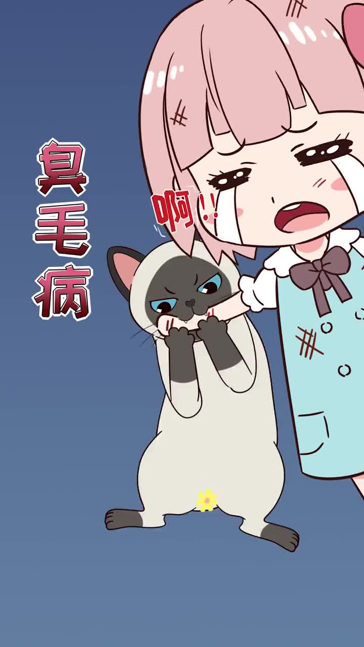 猫咪的臭毛病其实是你教的别再怪猫不听话啦