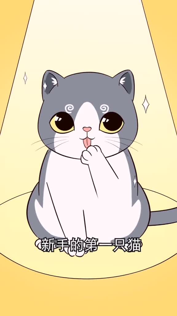 英短猫是新手养猫的最佳选择这样的英短你爱了吗