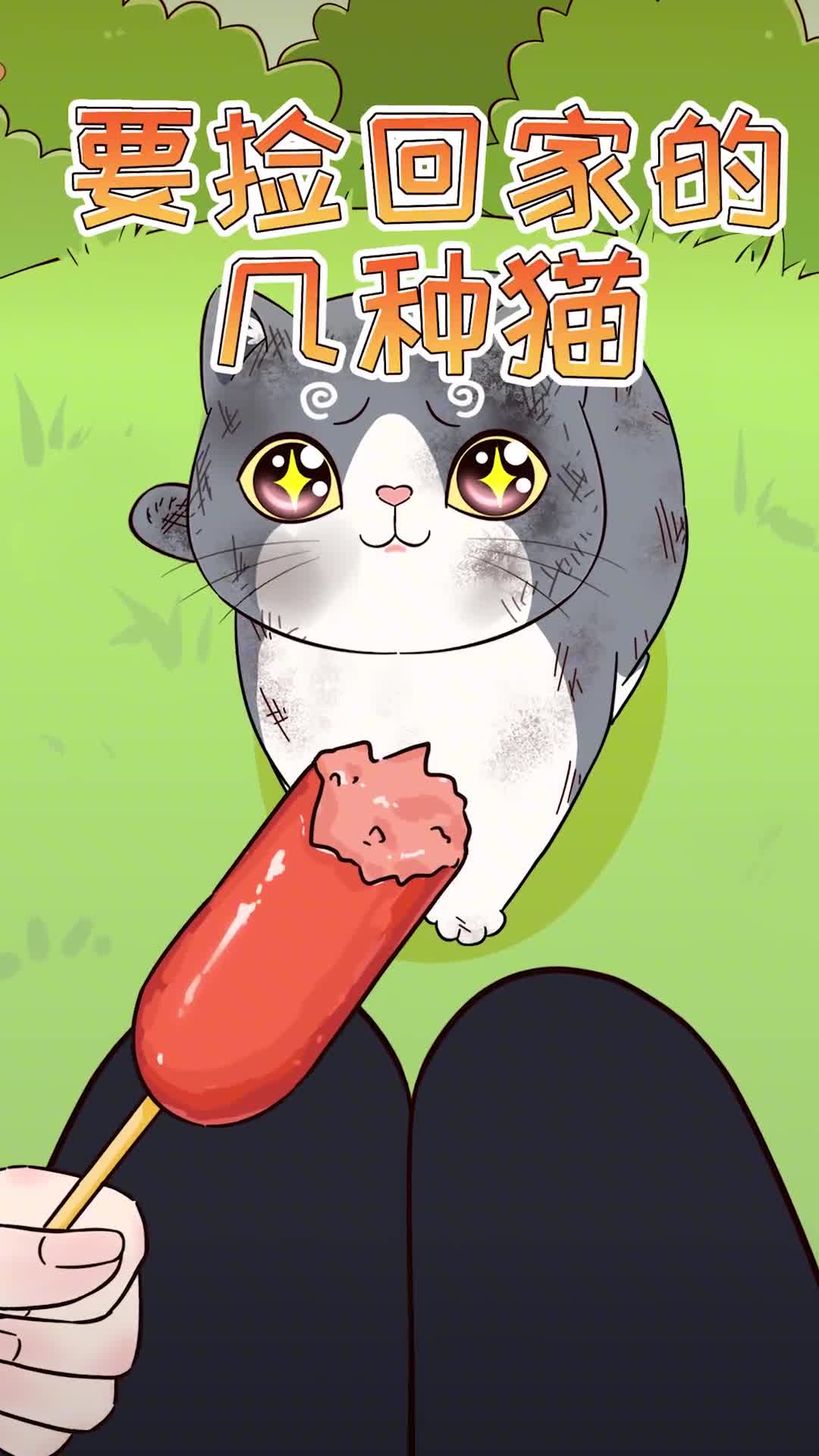 路上遇到这4种流浪猫一定要捡回家养猫新手和老手都适合养哦