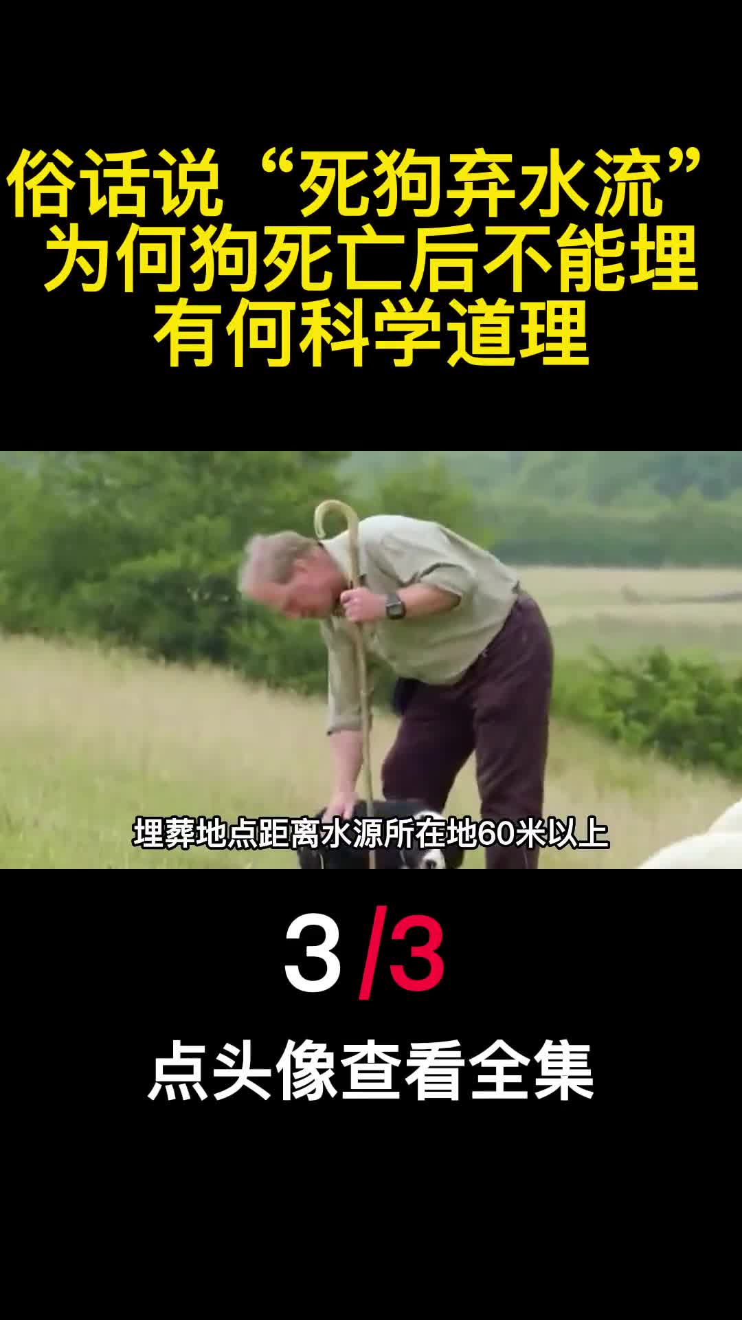 俗话说死狗弃水流为何狗死亡后不能埋有何科学道理3