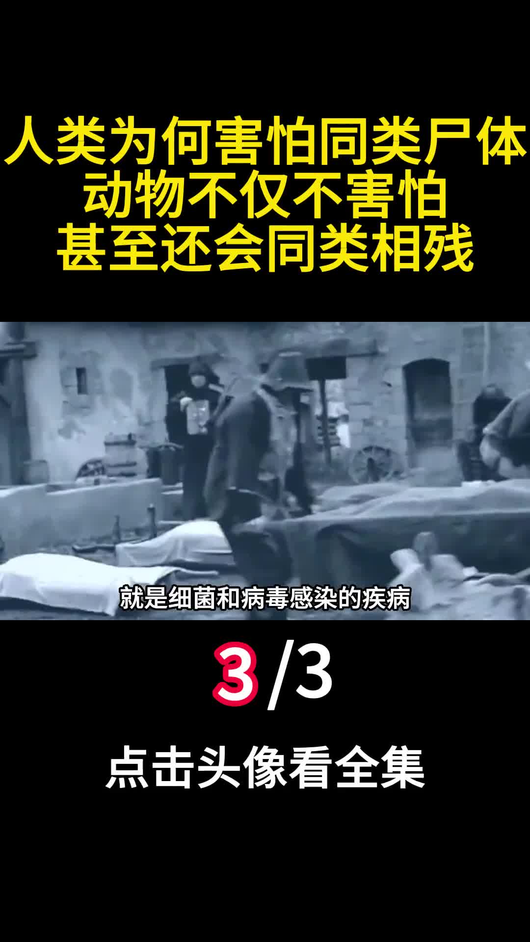 人类为何害怕同类尸体动物不仅不害怕甚至还会同类相残3