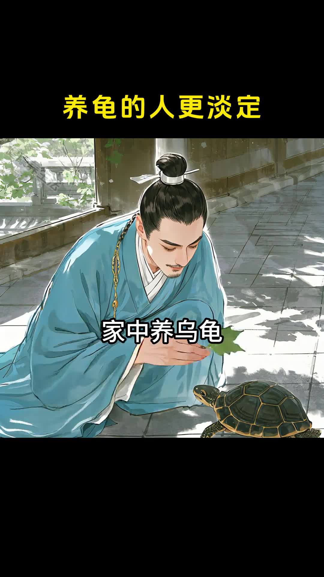 养龟的人不焦虑