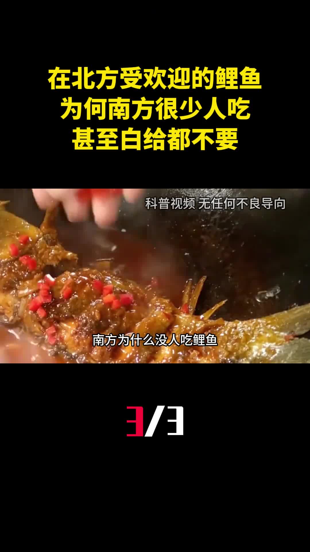 在北方受欢迎的鲤鱼为何南方很少人吃甚至白给都不要3