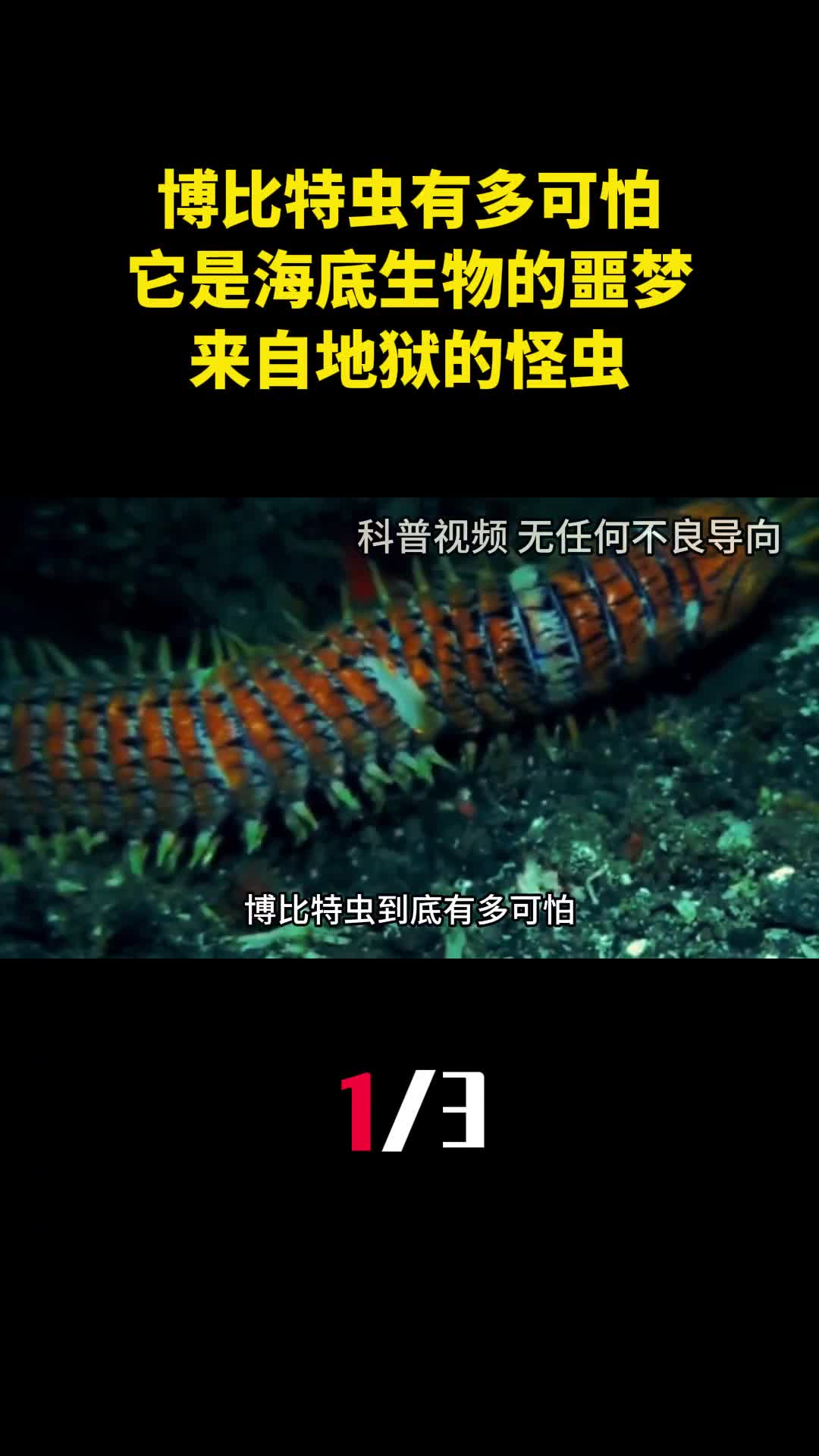 博比特虫到底有多可怕它是海底生物的噩梦来自地狱的怪虫1