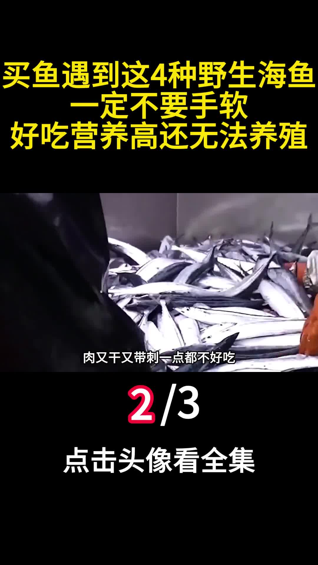 买鱼遇到这4种野生海鱼一定不要手软好吃营养高还无法养殖2
