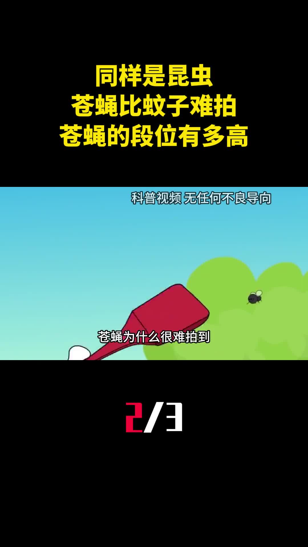 同样是昆虫为啥苍蝇就比蚊子难拍看看苍蝇的段位有多高2