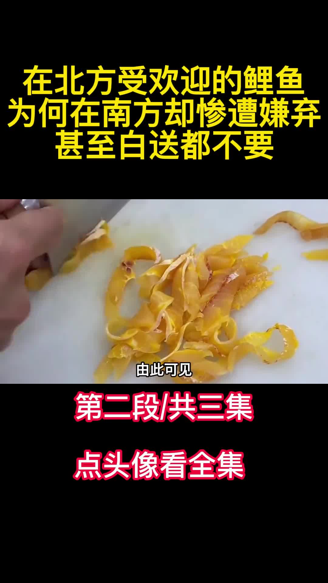 在北方受欢迎的鲤鱼为何在南方却惨遭嫌弃甚至白送都不要2