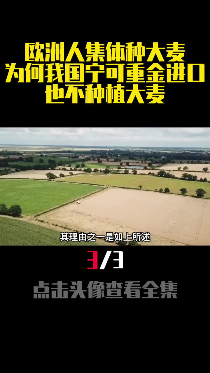 欧洲人集体种大麦为何我国宁可重金进口也不种植大麦3