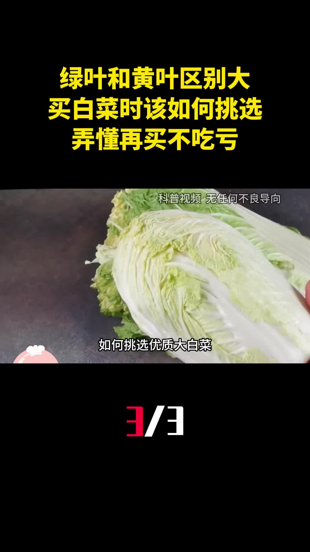 绿叶和黄叶区别大买白菜时该如何挑选弄懂再买不吃亏3