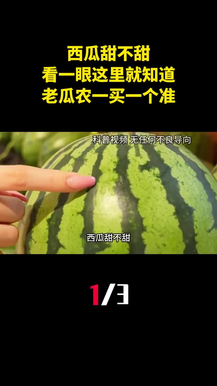 西瓜甜不甜看一眼这里就知道老瓜农的方法一买一个准1