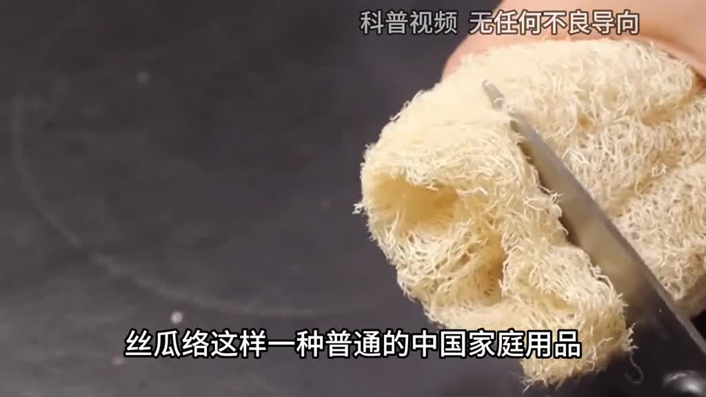 曾被人忽视的丝瓜络被老外批量生产如今年入300万美元2