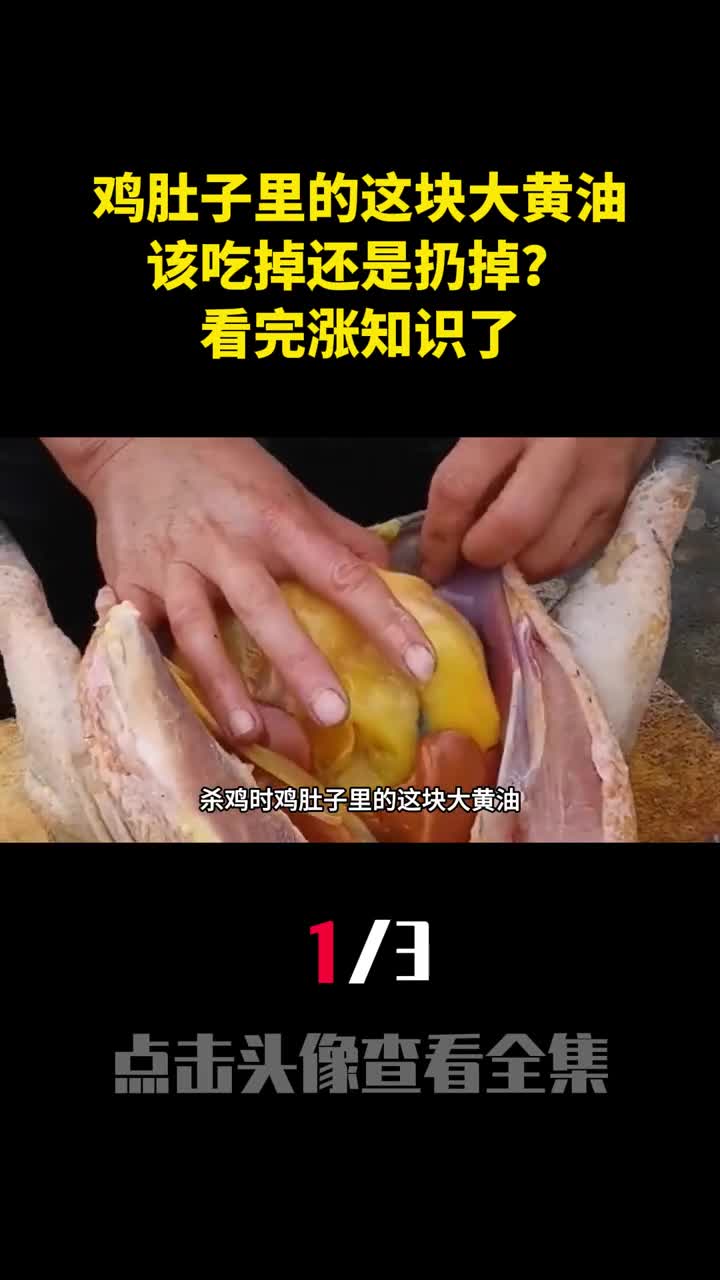 杀鸡时鸡肚子里的这块大黄油该吃掉还是扔掉看完涨知识了1
