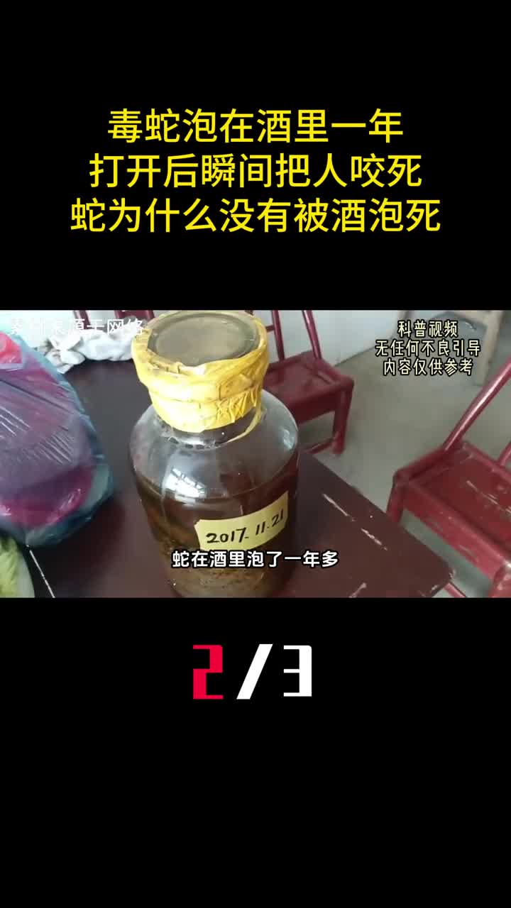 毒蛇泡在酒里一年打开后瞬间把人咬死蛇为什么没有被酒泡死2