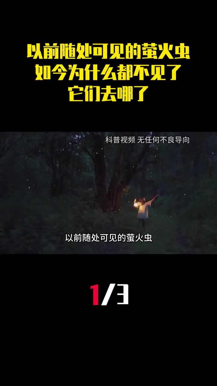 以前随处可见的萤火虫如今为什么都不见了它们去哪了1