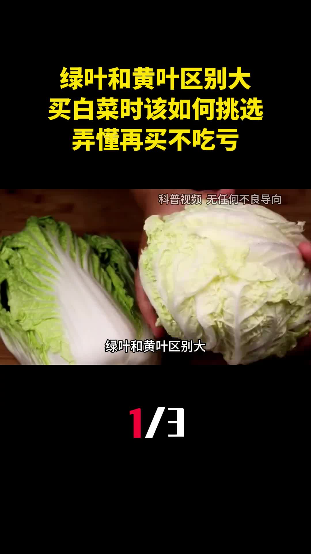绿叶和黄叶区别大买白菜时该如何挑选弄懂再买不吃亏1