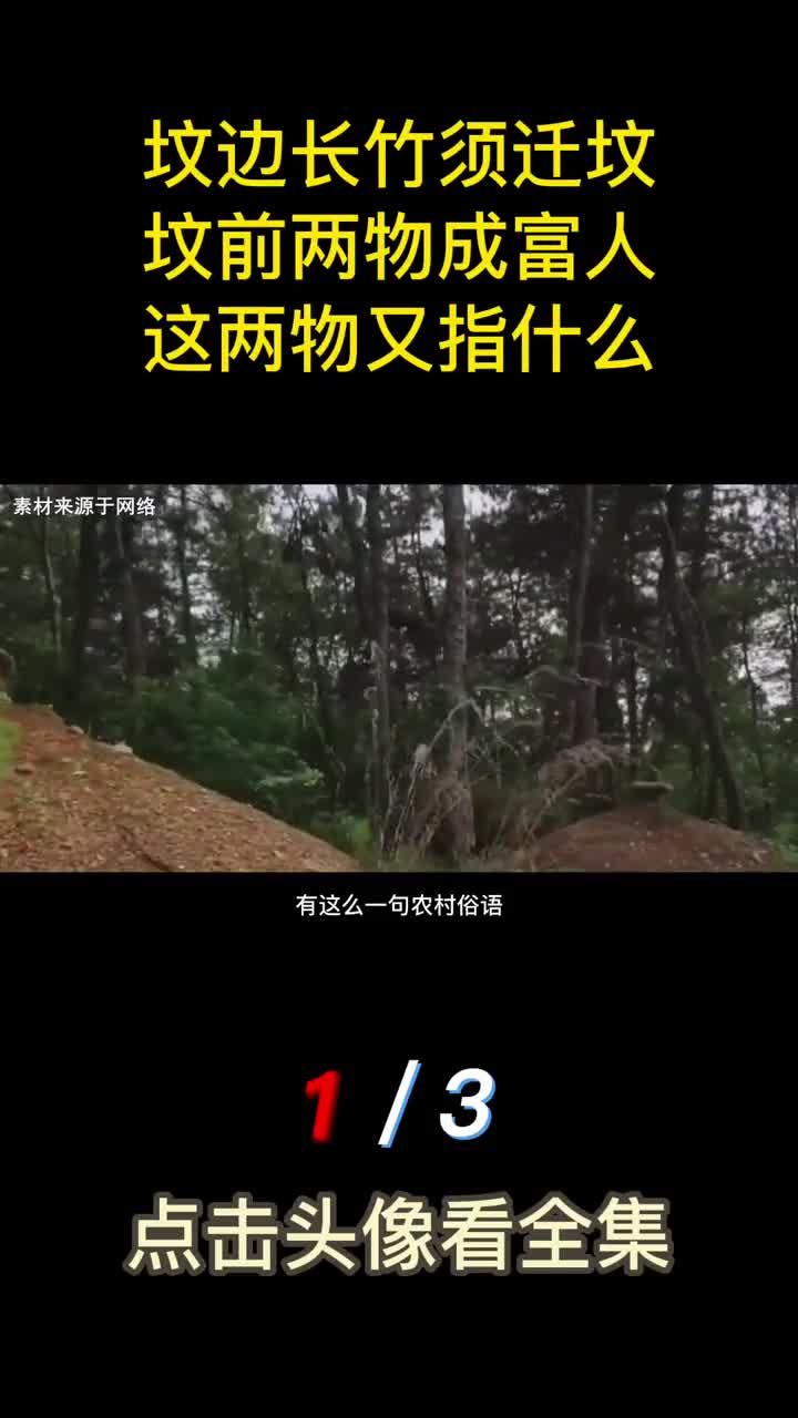 老话说坟边长竹须迁坟坟前两物成富人这两物又指什么