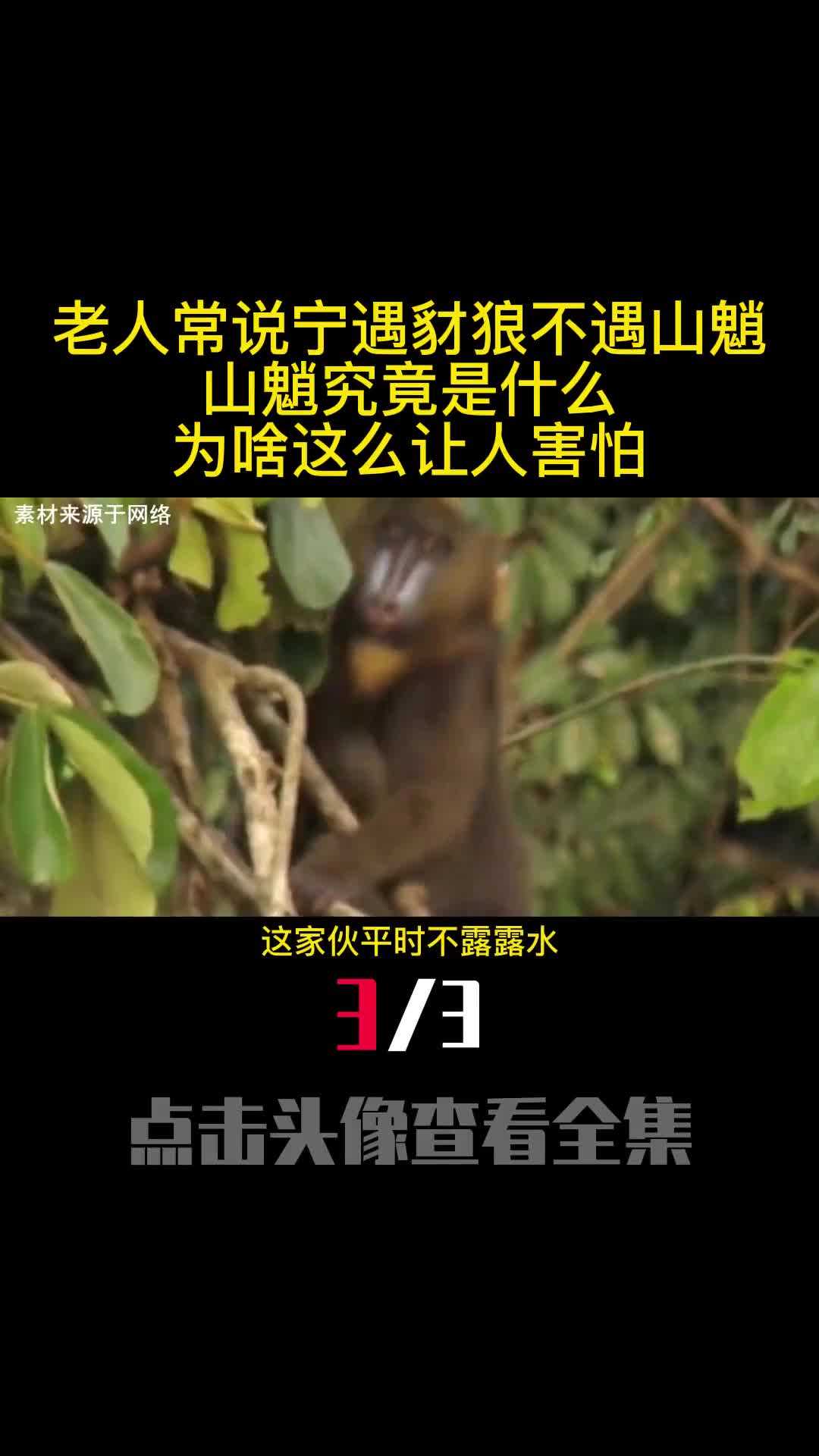 老人常说宁遇豺狼不遇山魈山魈究竟是什么为啥这么让人害怕3