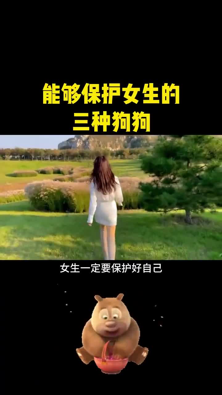 能够保护女生的三种狗狗你知道吗