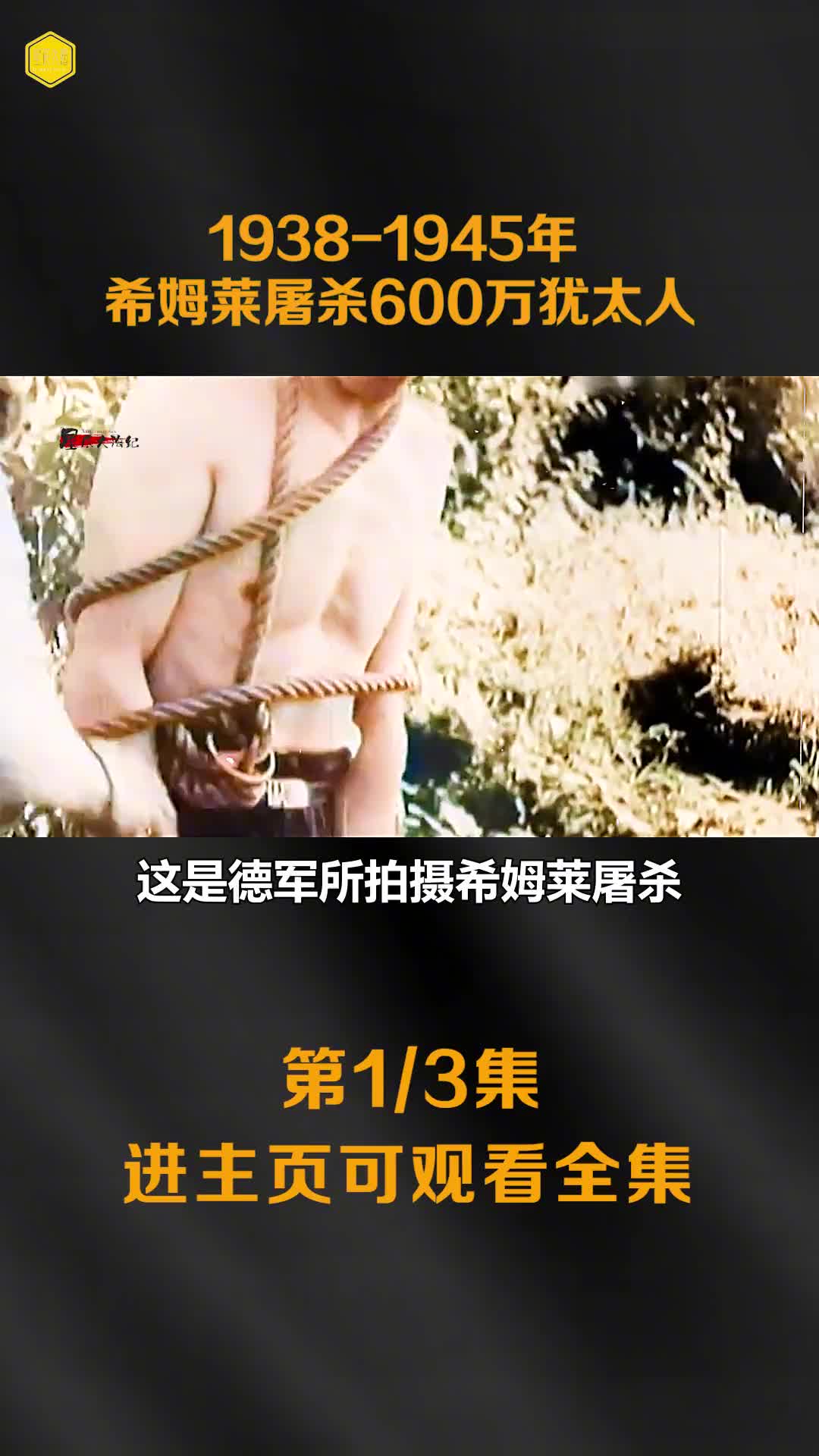 希姆莱屠杀600万犹太人抢掠财务1000亿美元最后服毒自杀